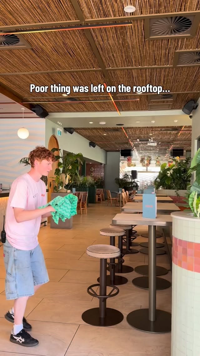 Video 2 from Lulu Rooftop 