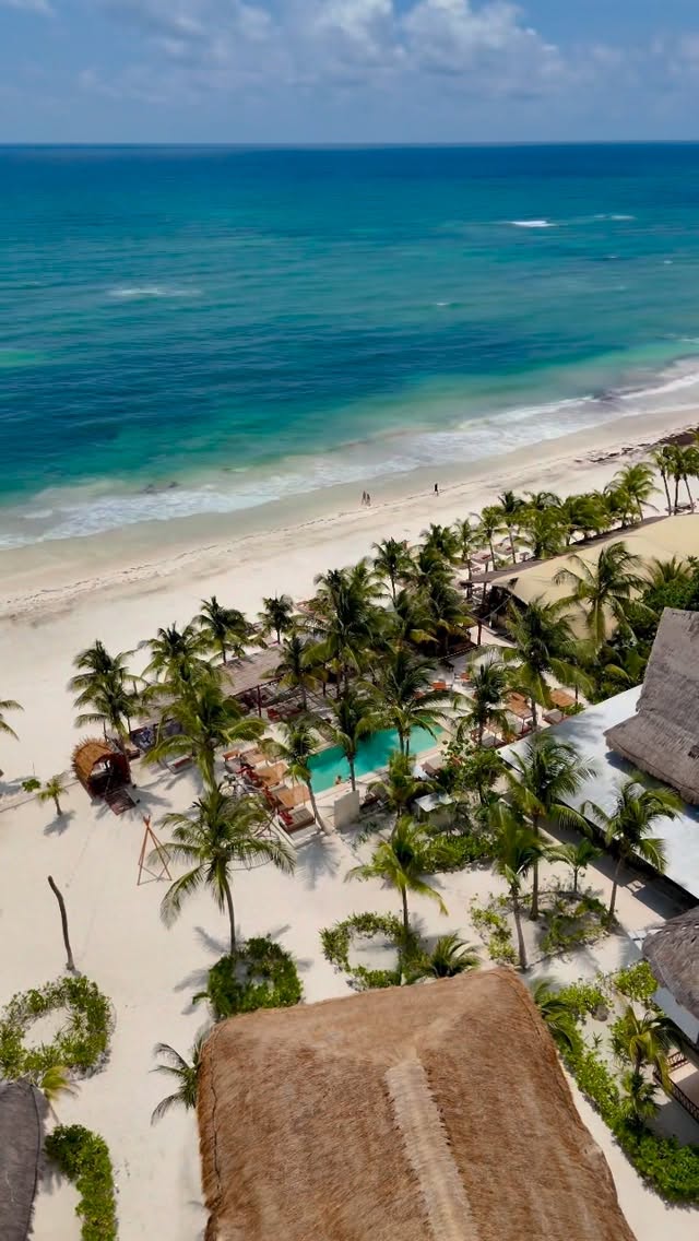 Video 1 from Mía Beach Club