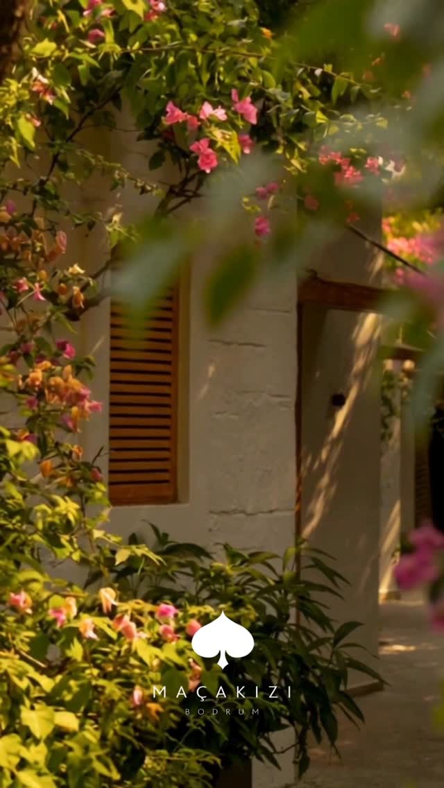 Video 6 from Macakizi Hotel Beachclub