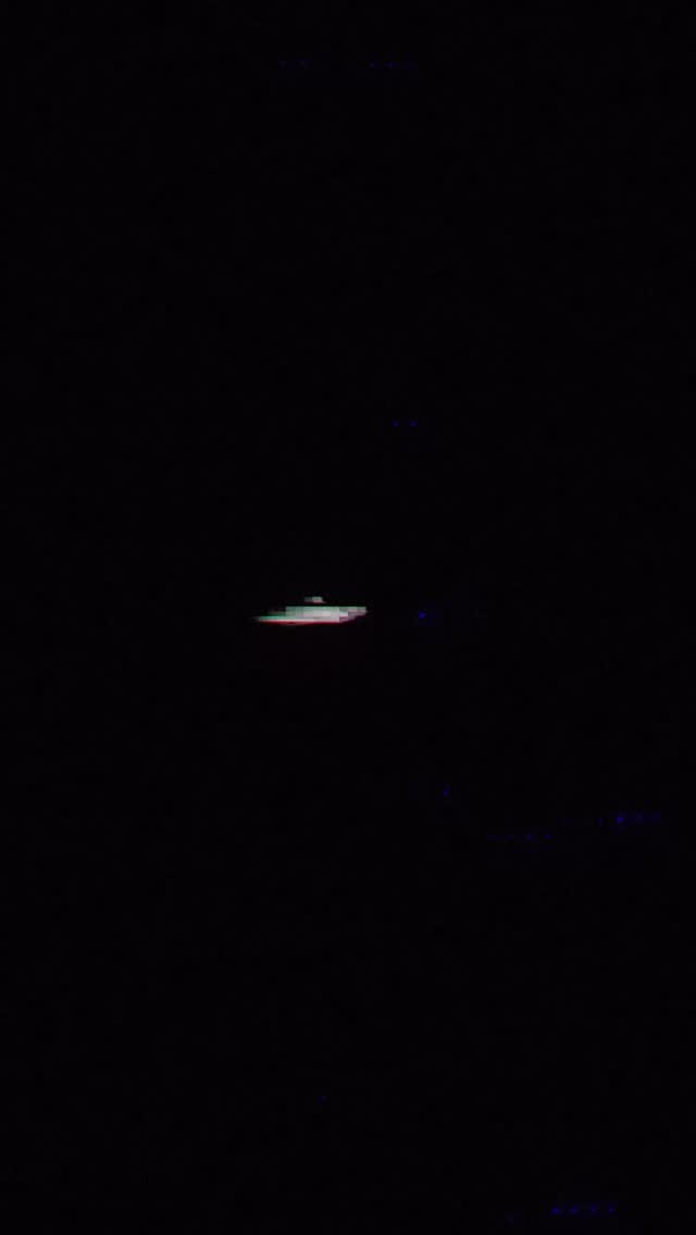 Video 4 from Mantis