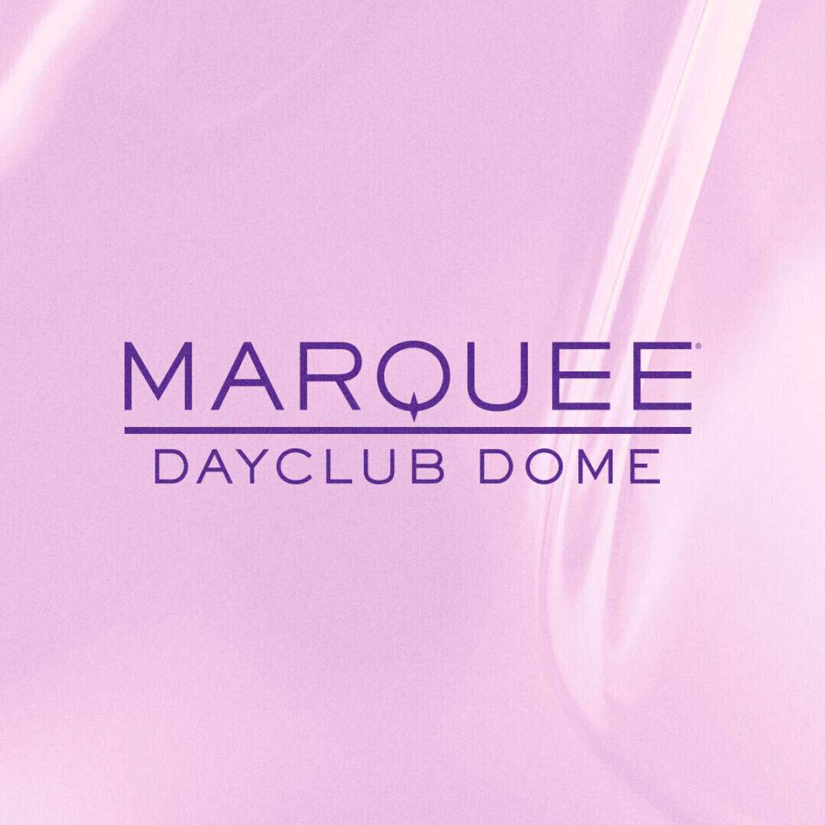 Marquee Dome Monday