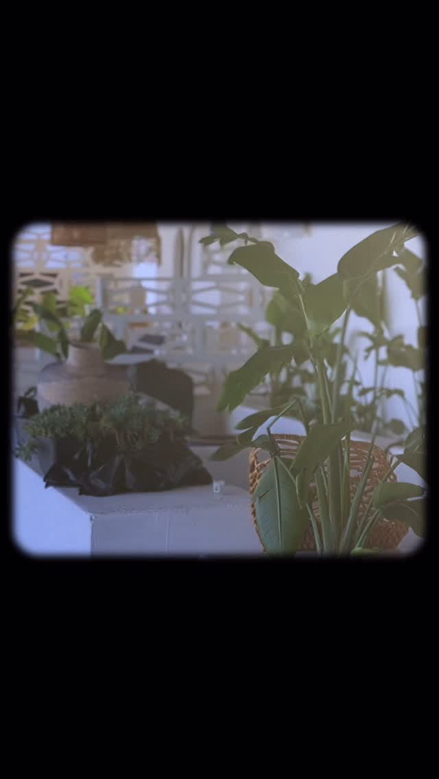 Video 7 from MedAsia Playa