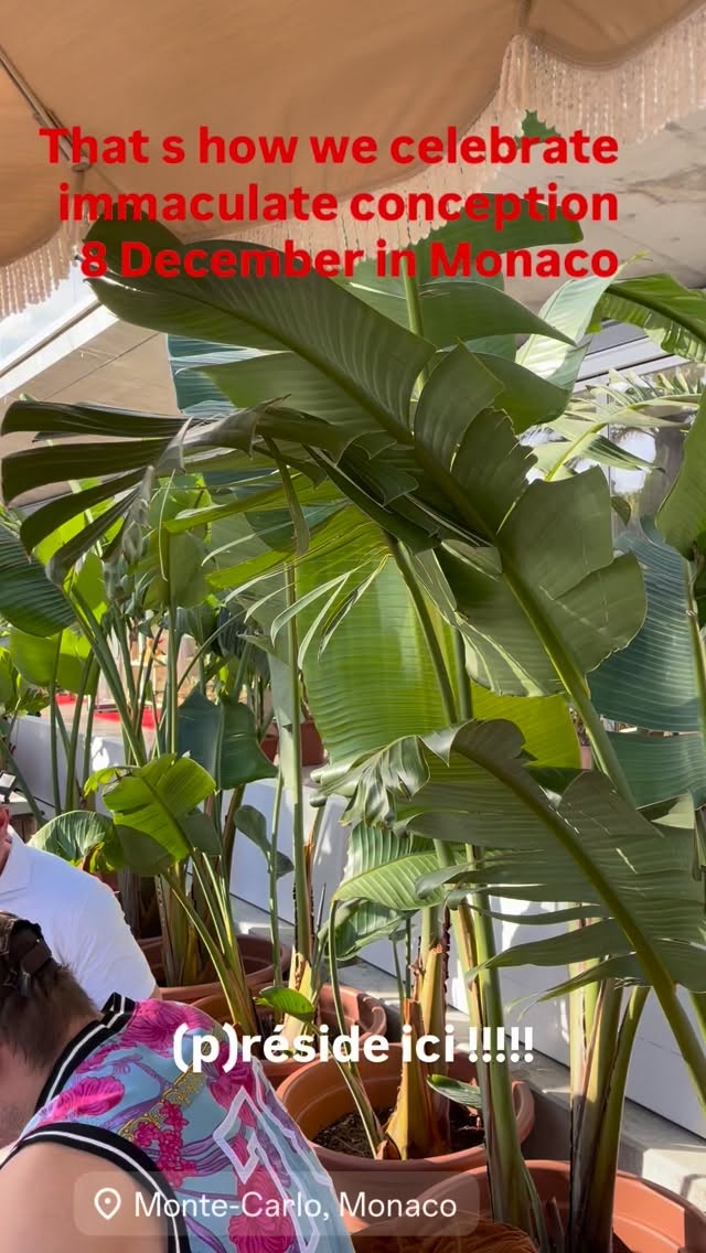 Video 6 from Miami Plage Monaco