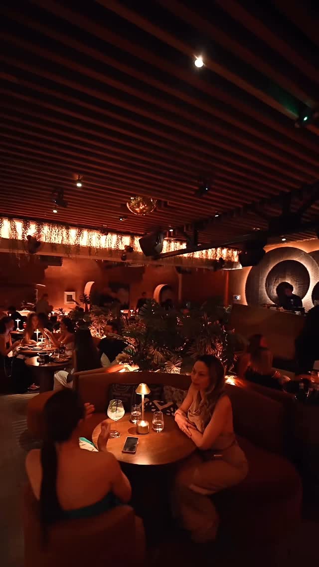 Video 8 from MILA