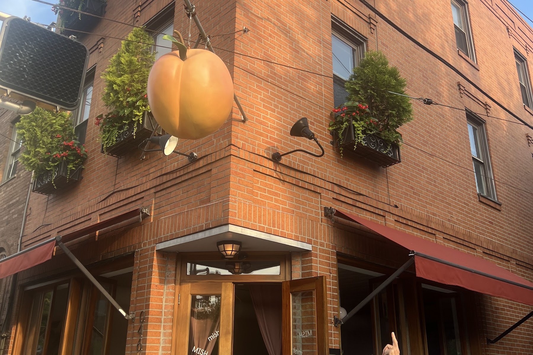 Mish Mish, a restaurant in Philadelphia, USA — photo 4