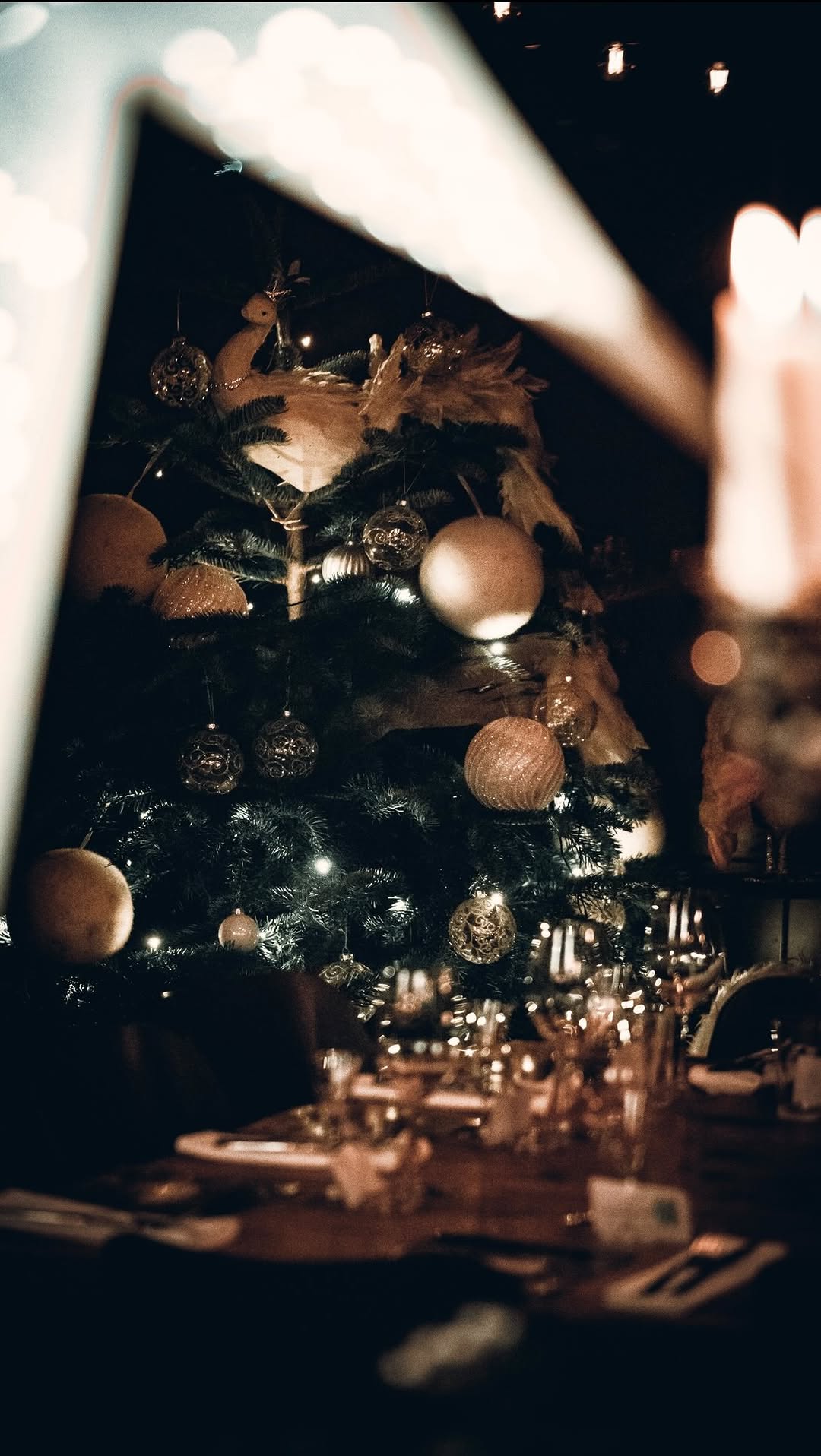 Video 5 from Mister French