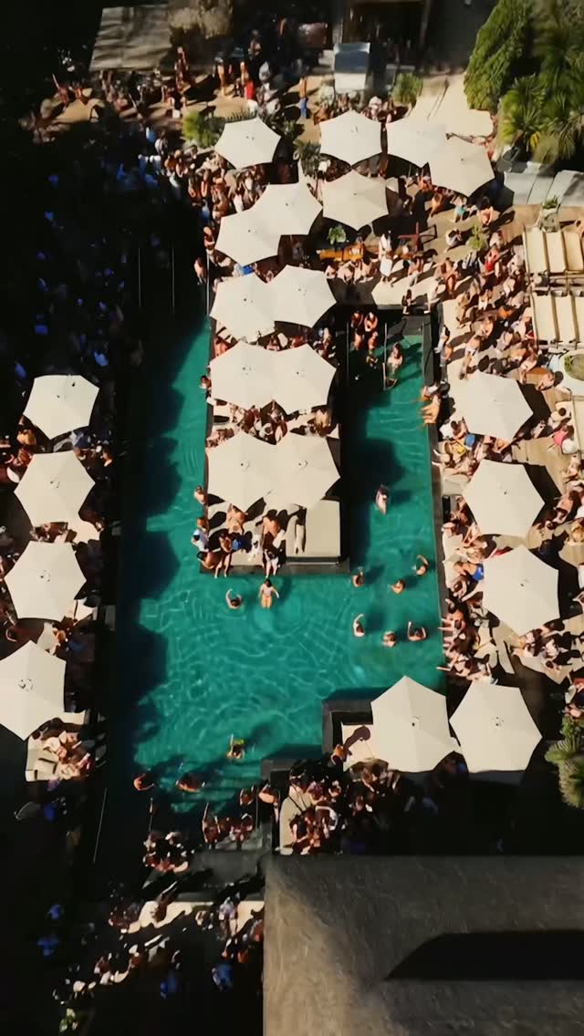 Video 7 from Mogli The Key