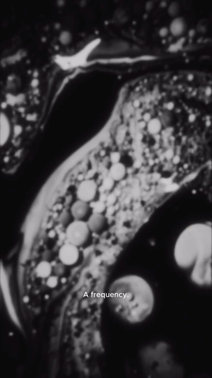 Video 1 from Momento