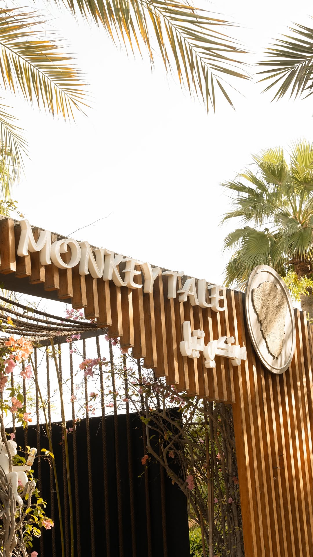 Video 5 from Monkey Tale