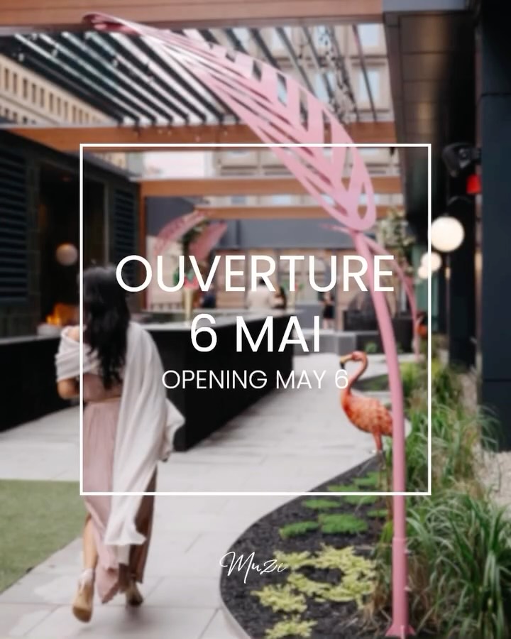 Video 1 from Muze Lounge