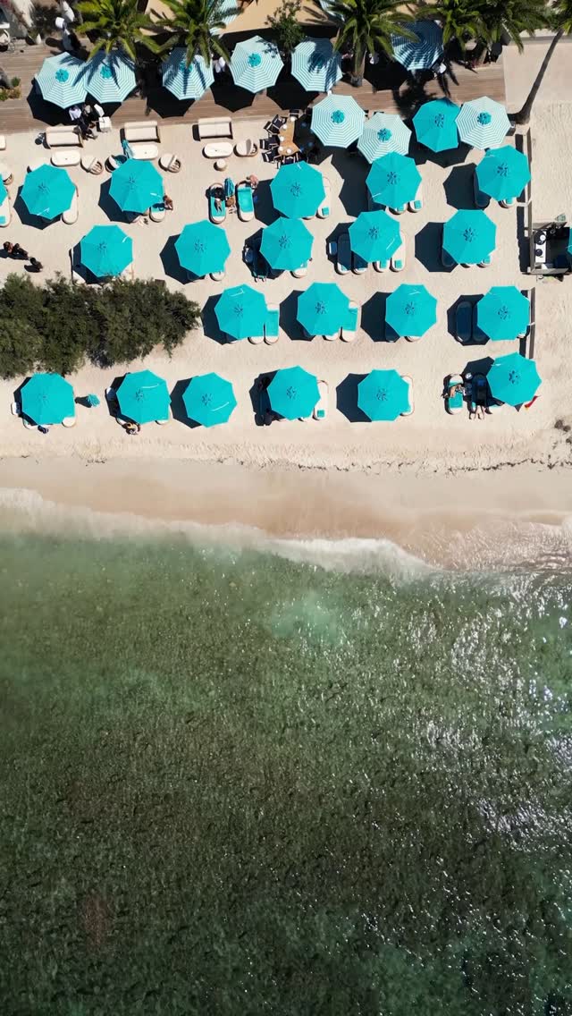Video 5 from Nammos