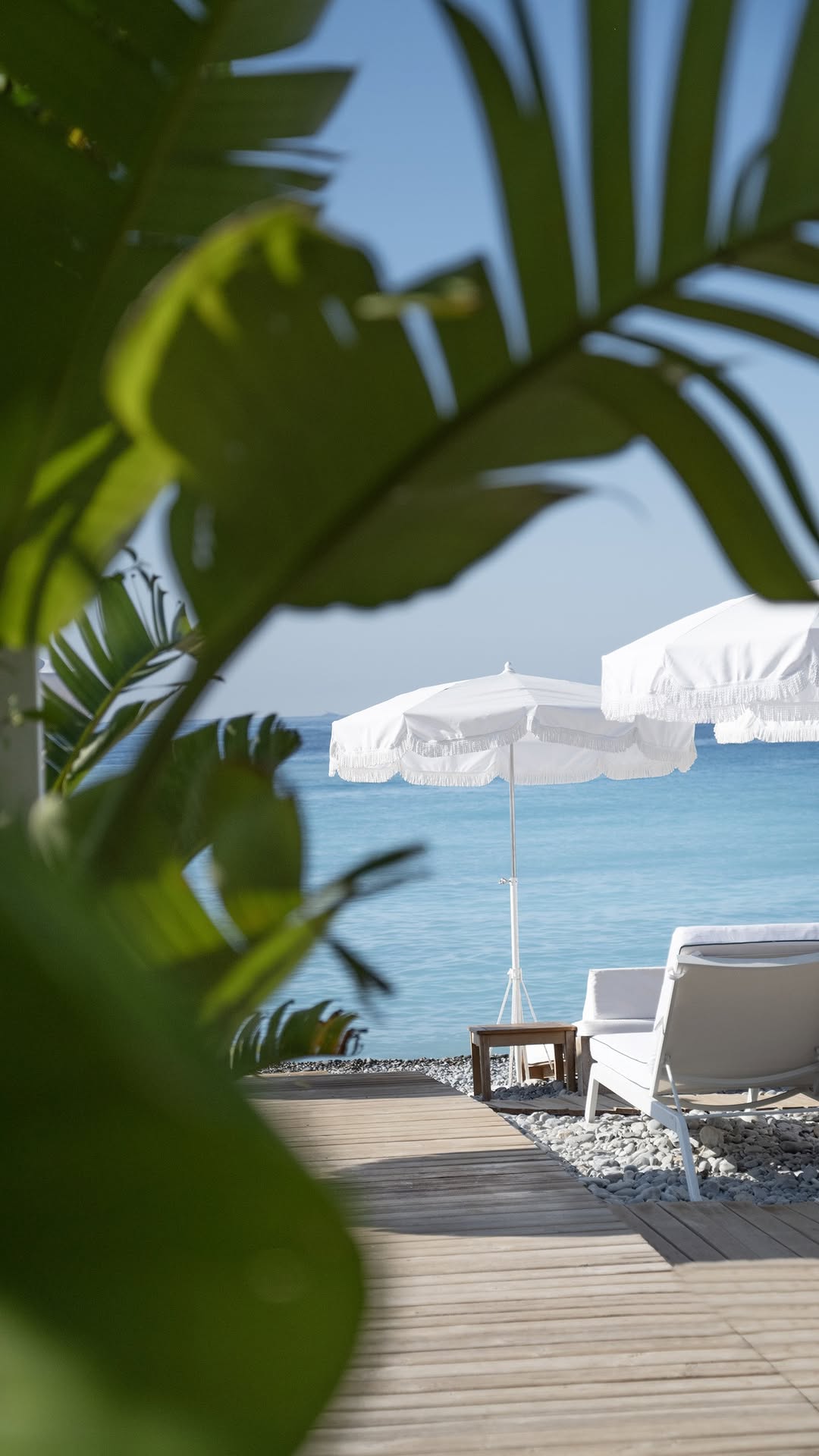 Video 1 from Negresco Beach Club