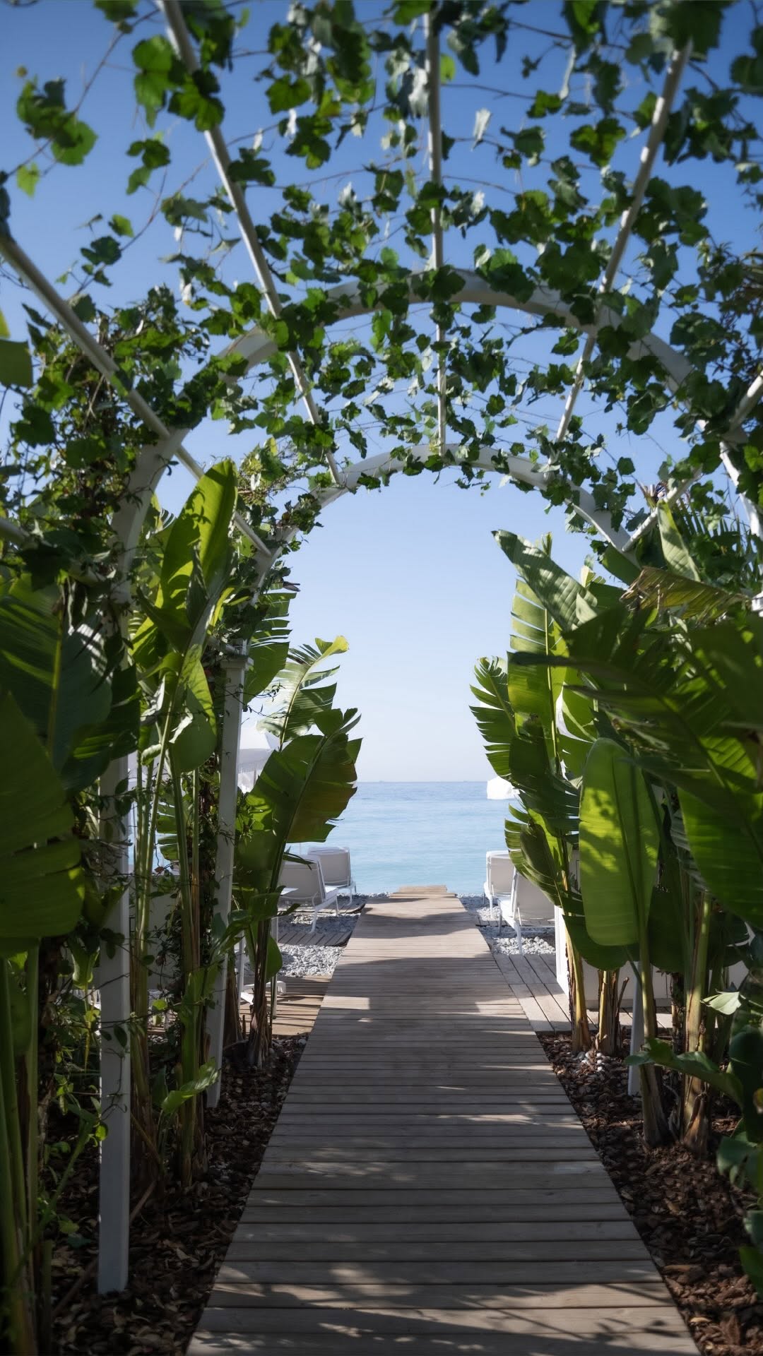 Video 5 from Negresco Beach Club