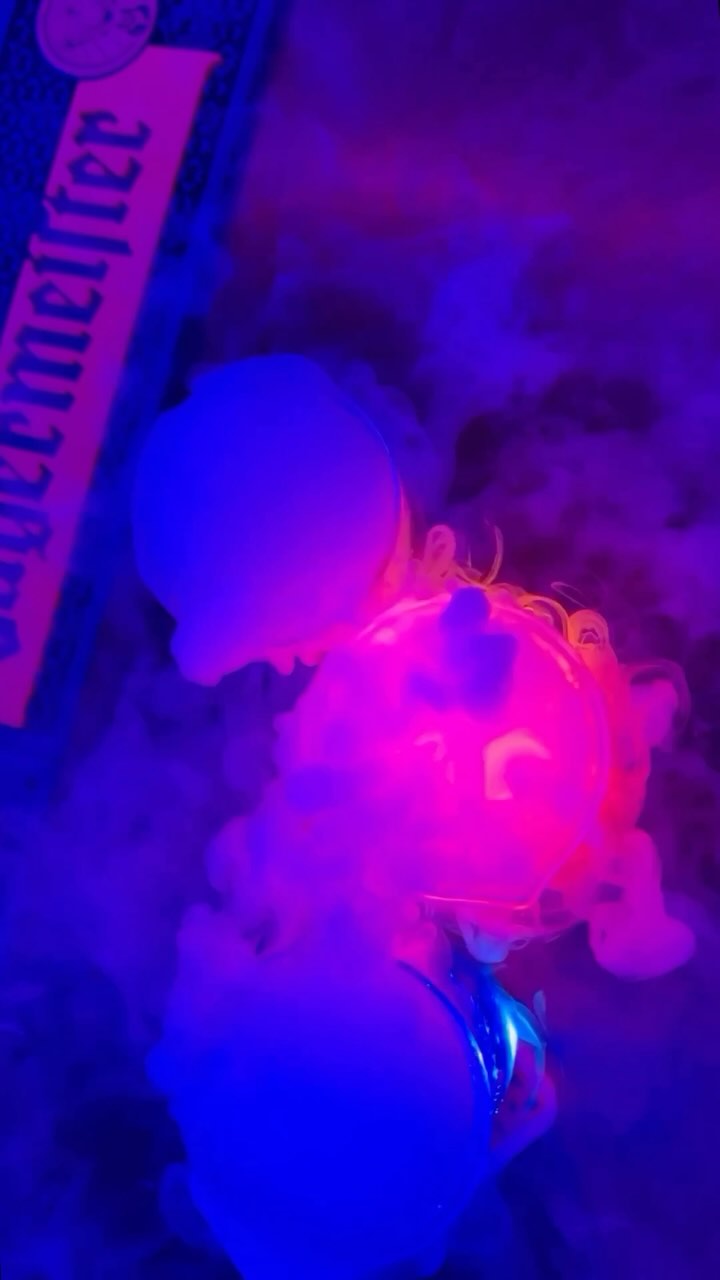 Video 2 from Neon Bar