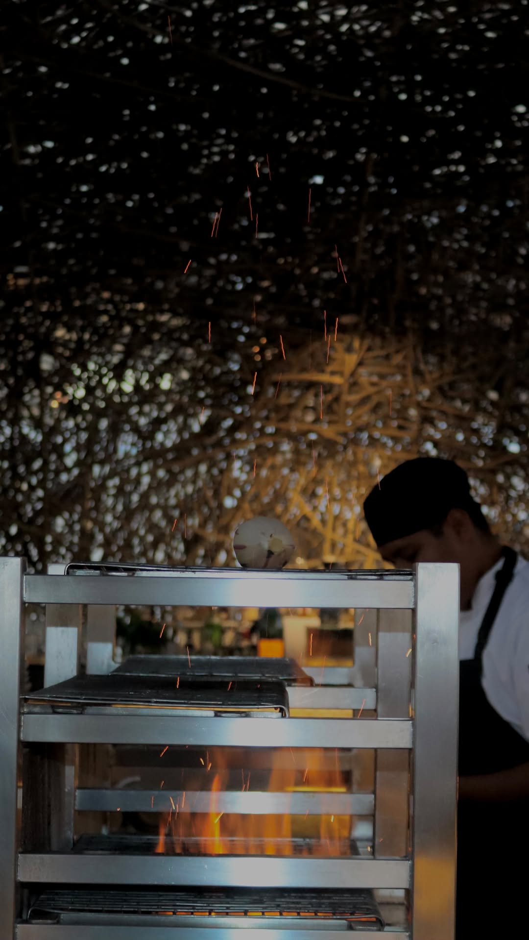 Video 7 from NIDO at The Viceroy