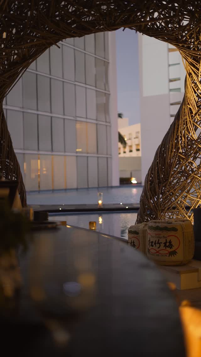 Video 4 from NIDO at The Viceroy