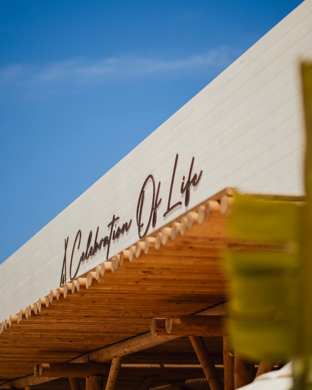 Video 6 from Nikki Beach Ibiza