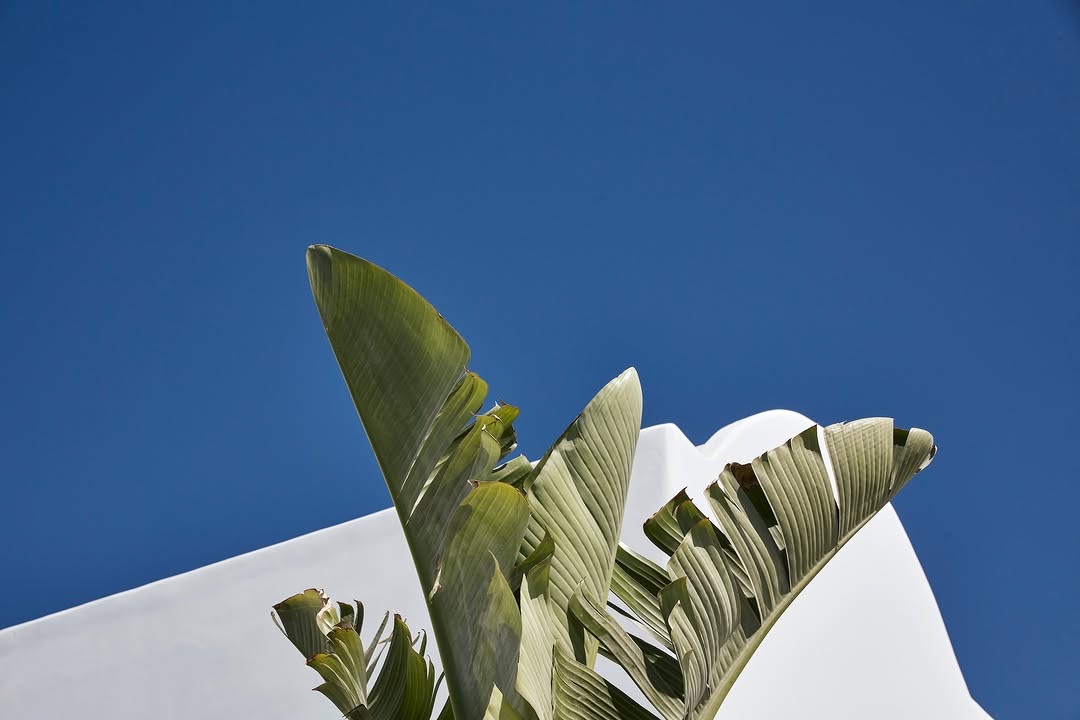 Video 2 from Nikki Beach Santorini