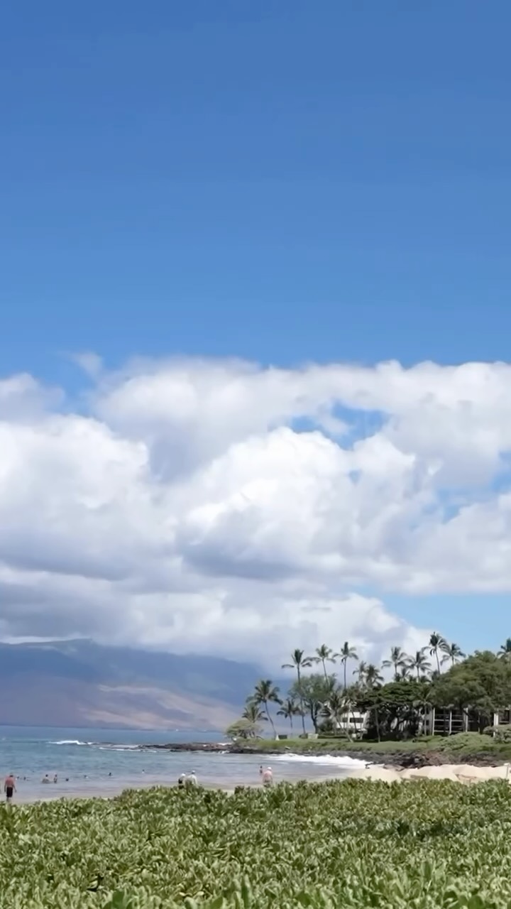 Video 8 from Nobu Grand Wailea