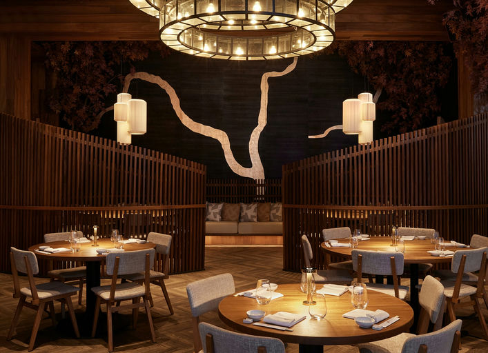 Nobu , a restaurant in Marrakech, Morocco