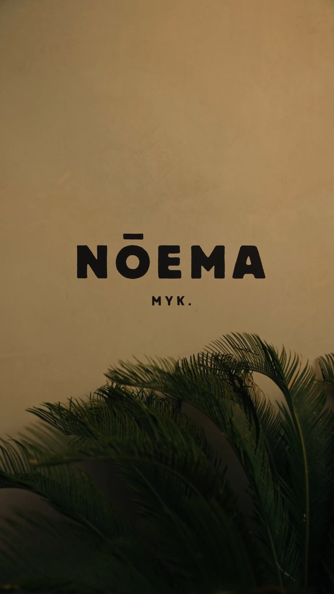 Video 3 from Noema