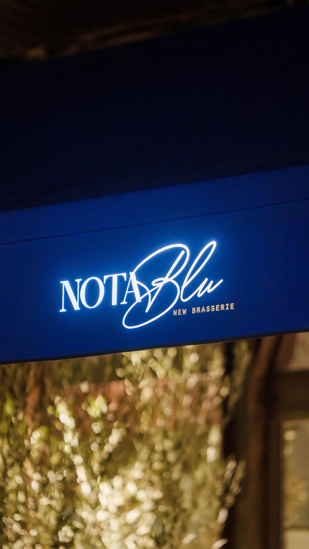 Video 8 from Nota Blu