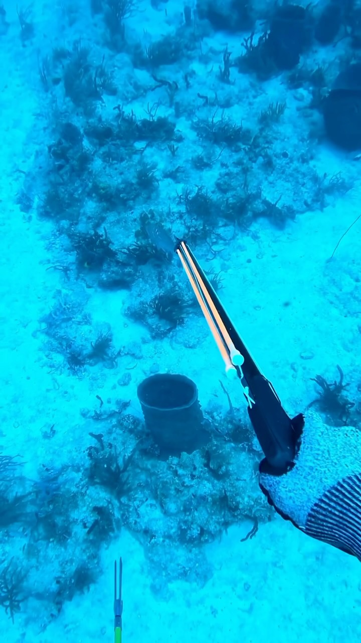 Video 2 from O Ya