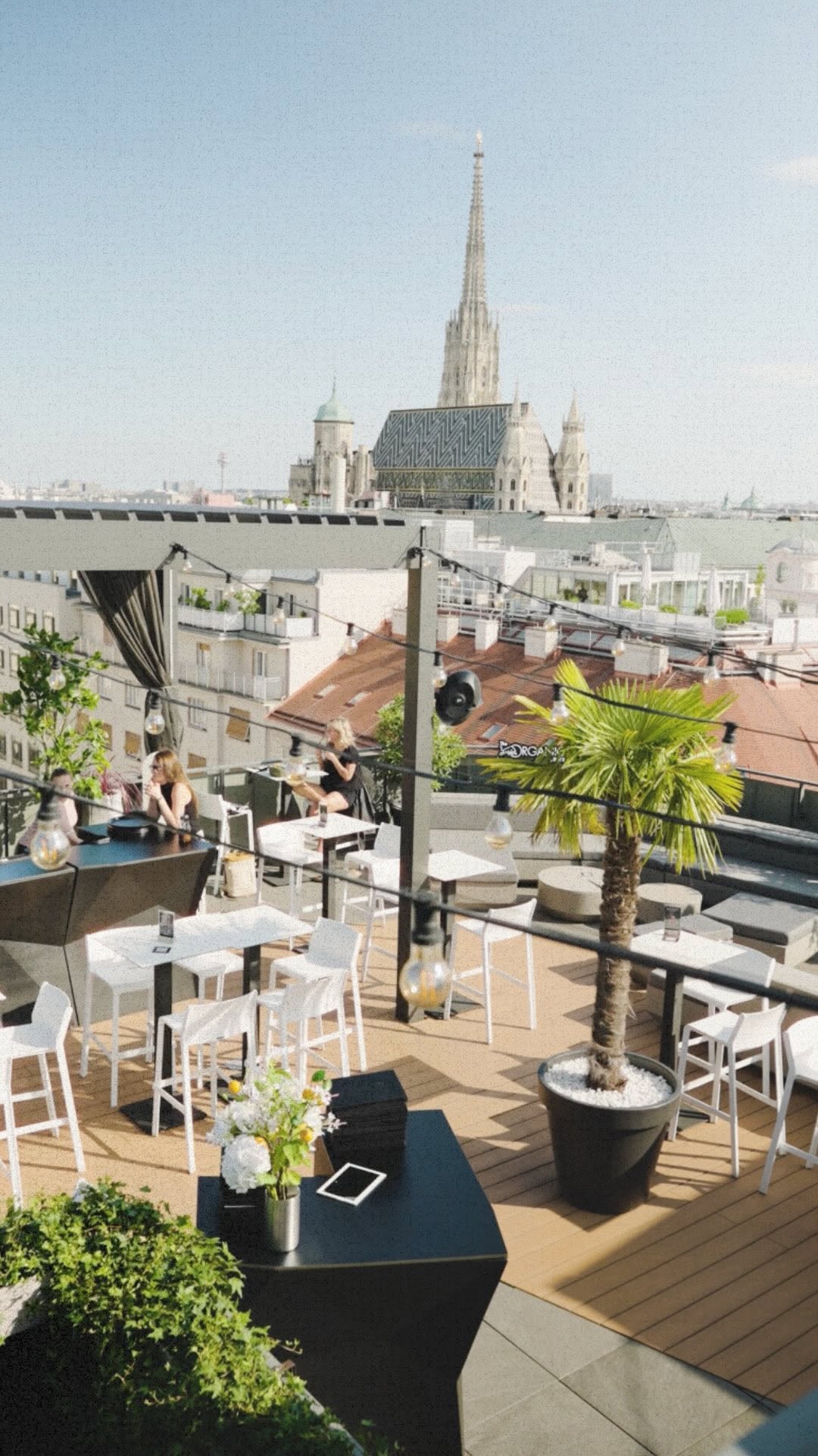 Video 2 from Organics Sky Garden