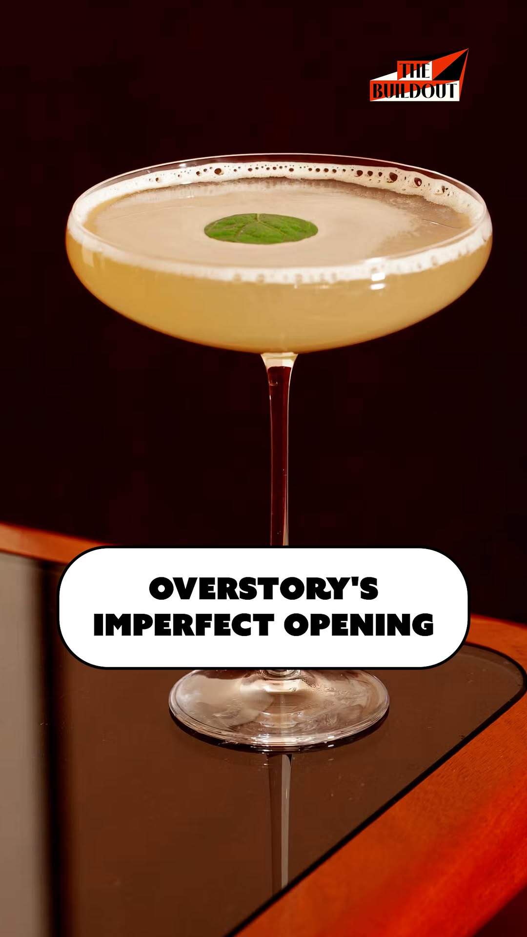 Video 8 from Overstory
