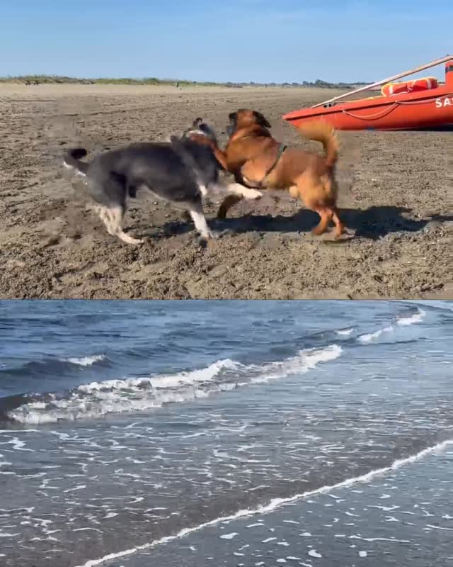 Video 2 from Pachuka Beach Club