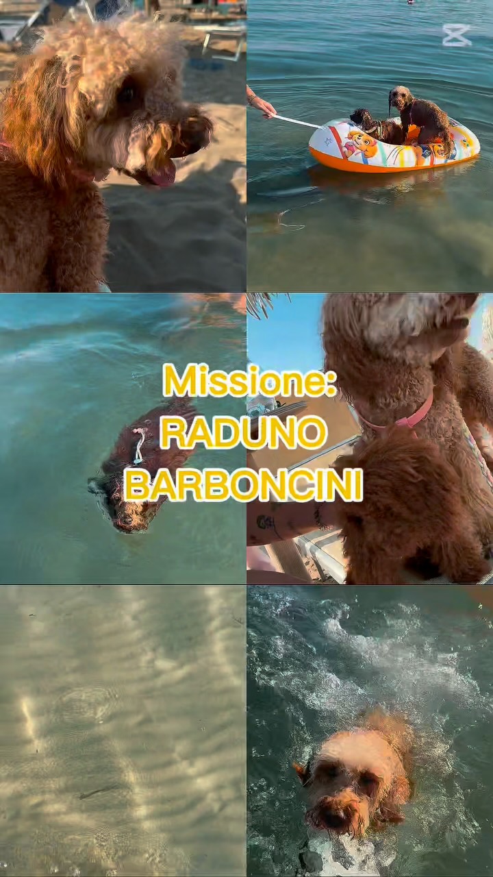 Video 5 from Pachuka Beach Club