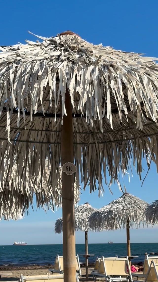 Video 1 from Pachuka Beach Club