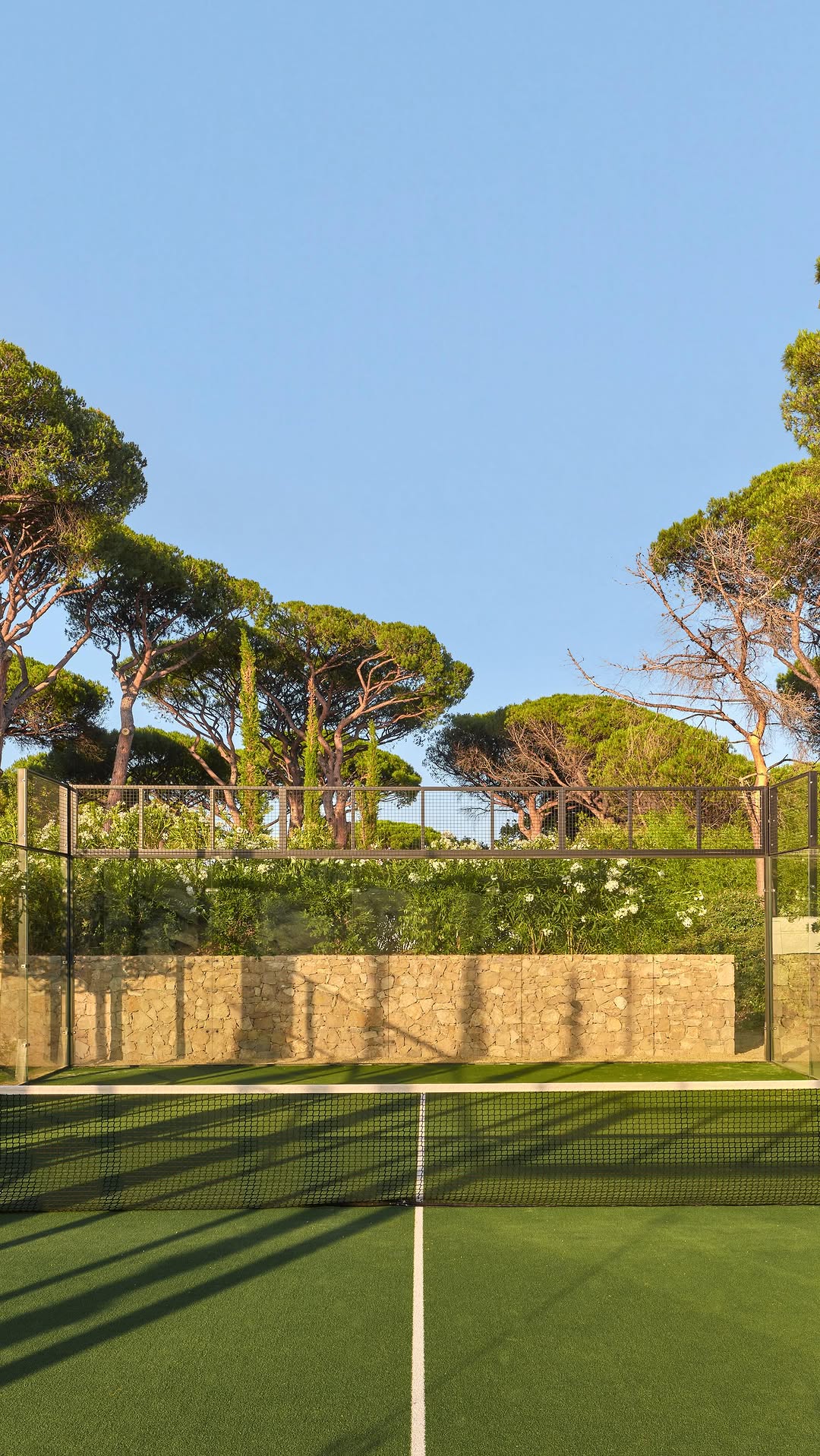 Video 8 from Palladio