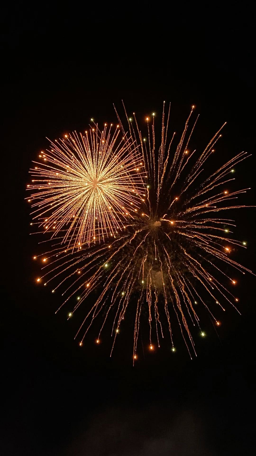 Video 3 from Palm Club