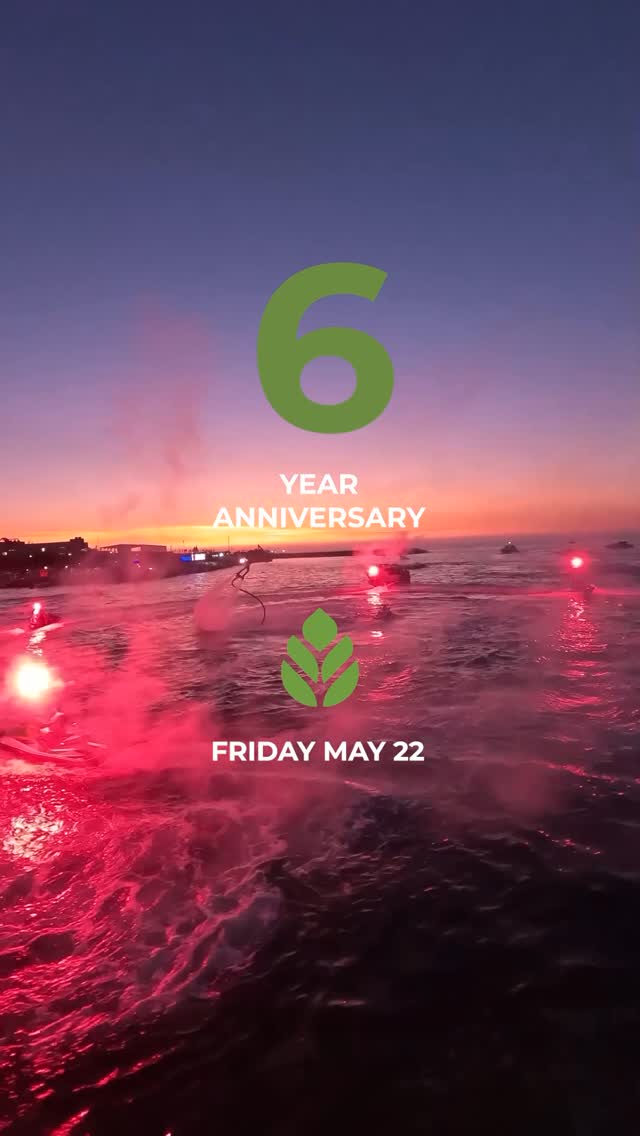 Video 7 from Palms Beach