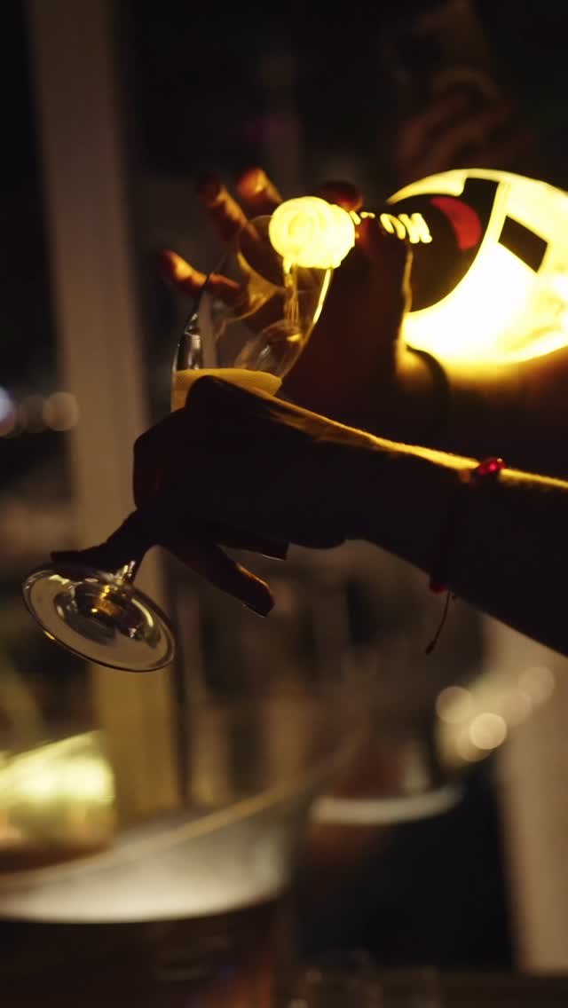 Video 5 from Pangea