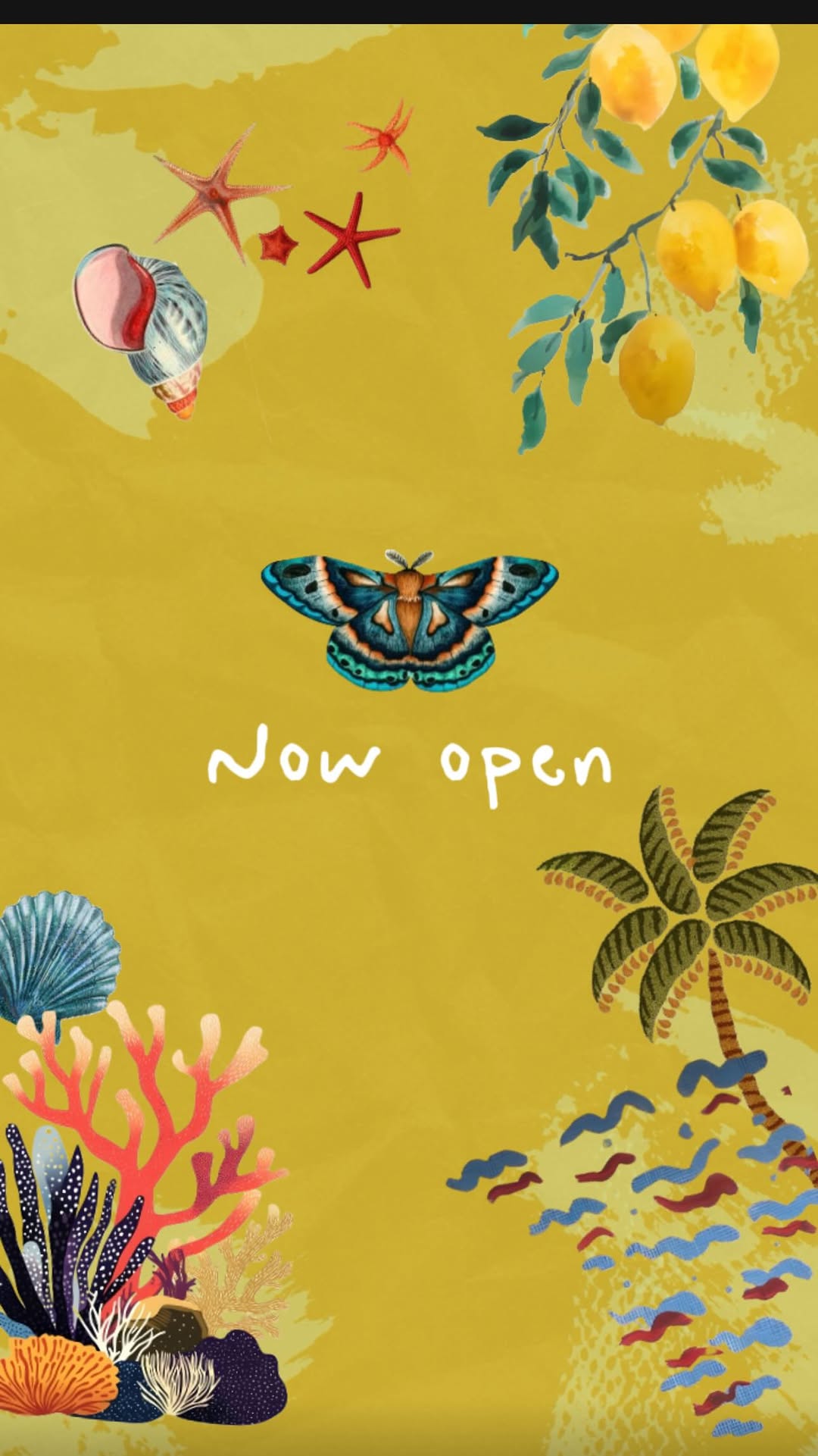 Video 8 from Papillon