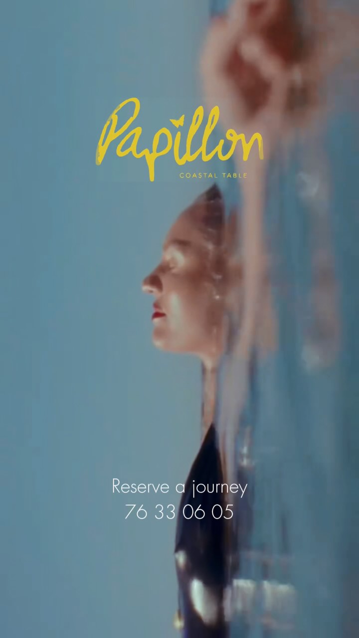 Video 4 from Papillon