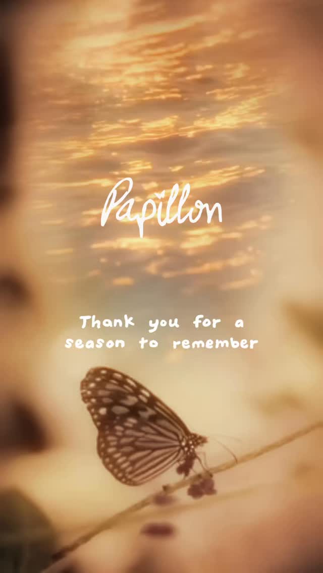 Video 1 from Papillon