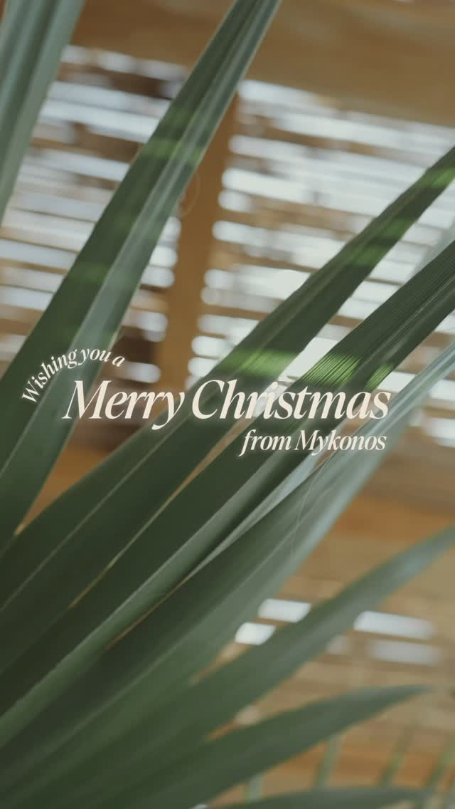Video 3 from Paradise Beach Club