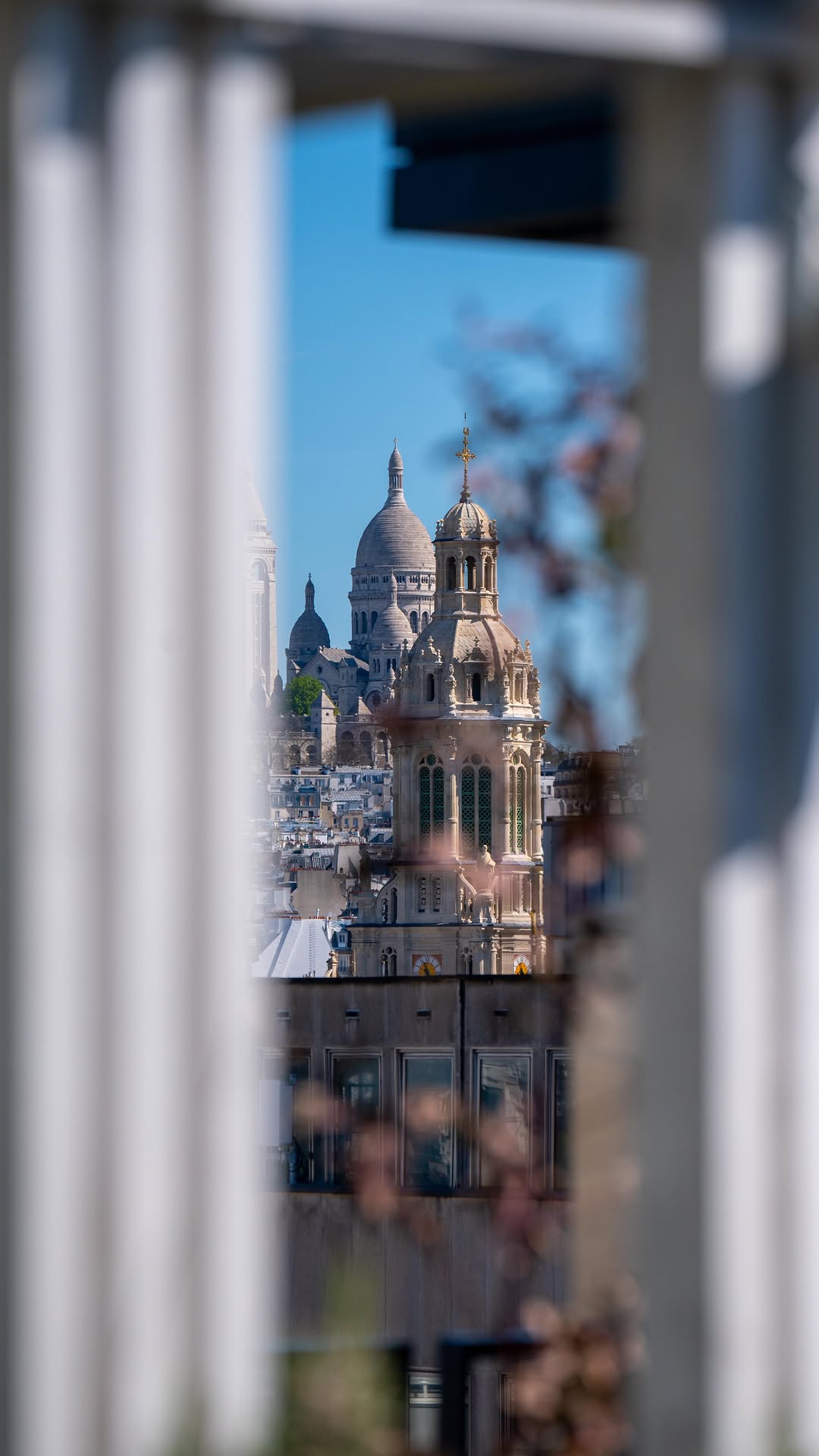 Video 1 from Perruche Rooftop