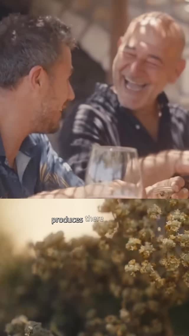 Video 5 from Peskesi