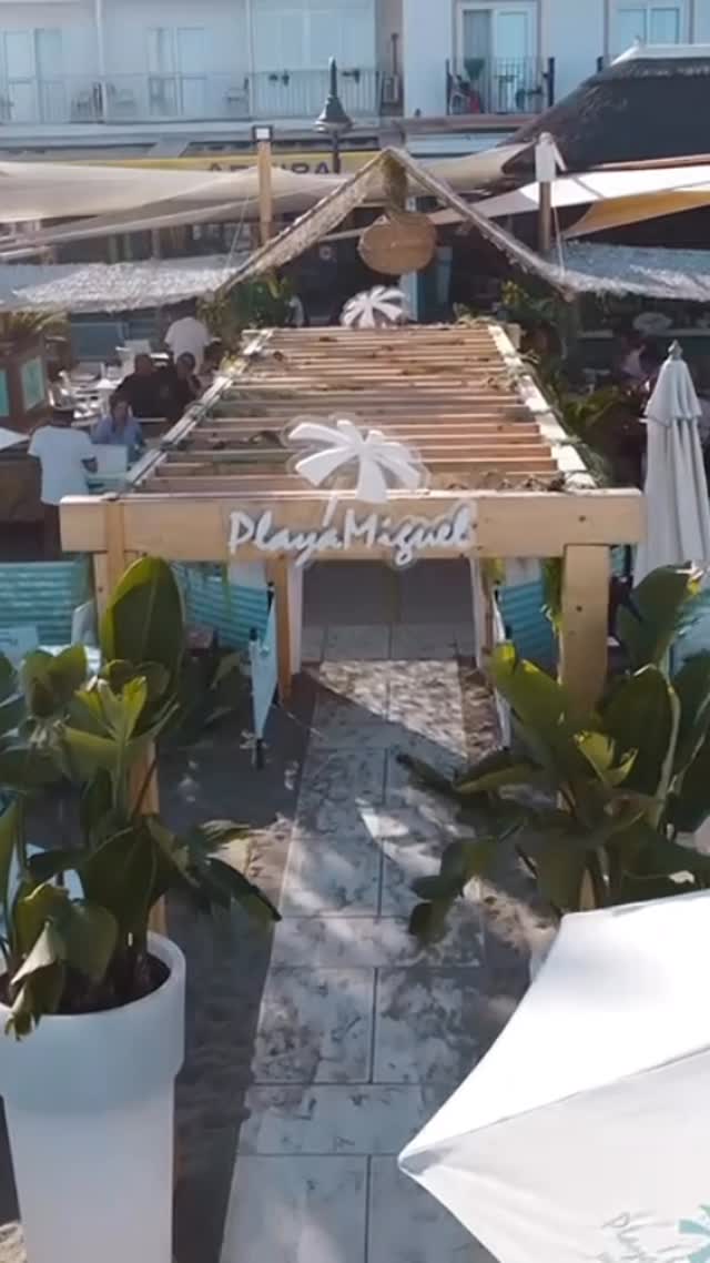 Video 6 from Playa Miguel Beach Club