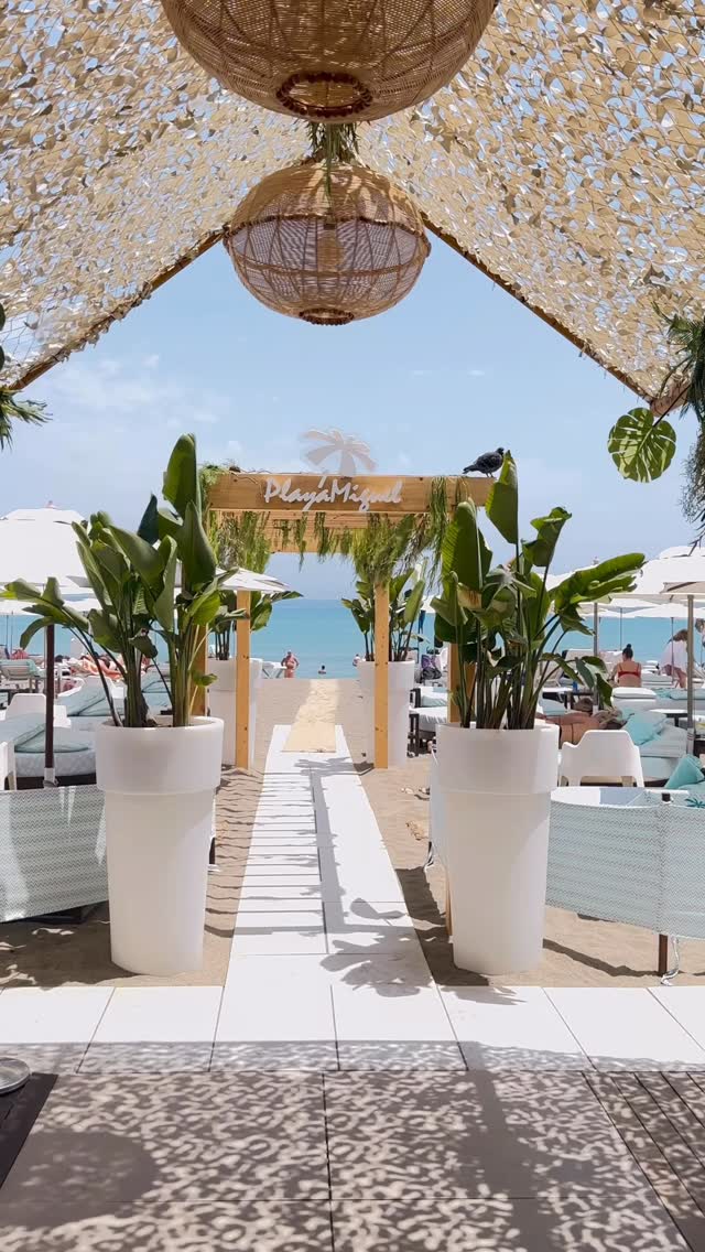 Video 3 from Playa Miguel Beach Club