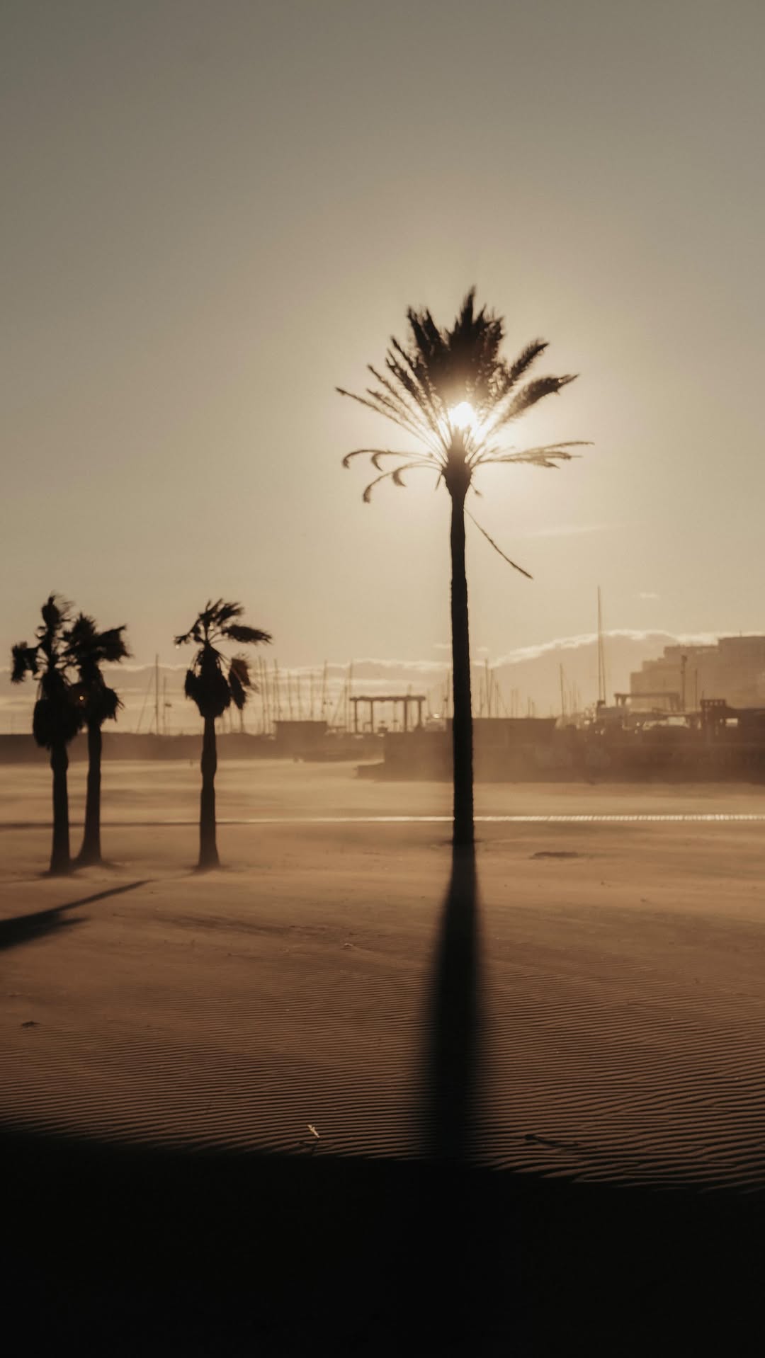 Video 6 from Playa Padre 