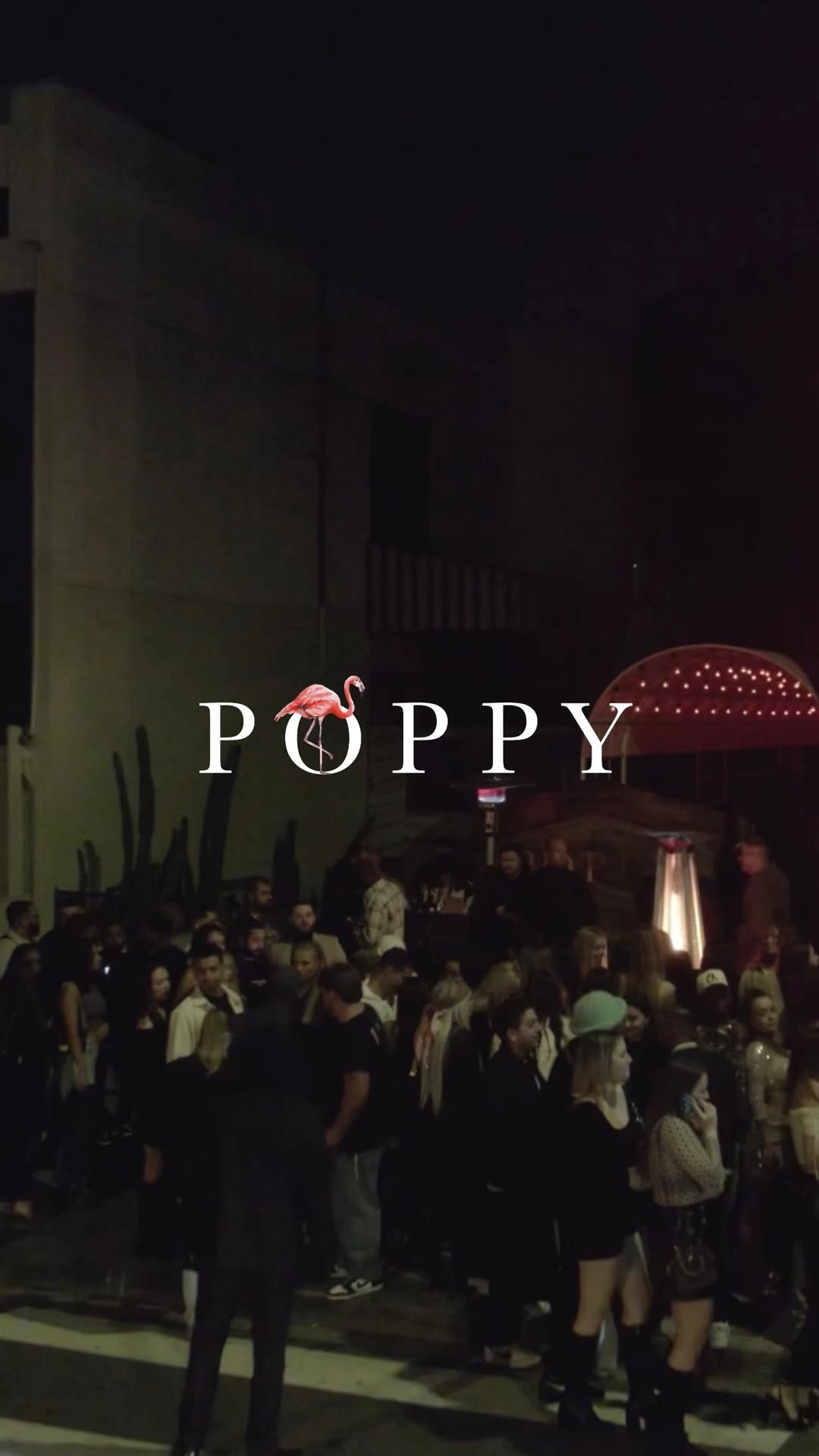 Video 1 from Poppy