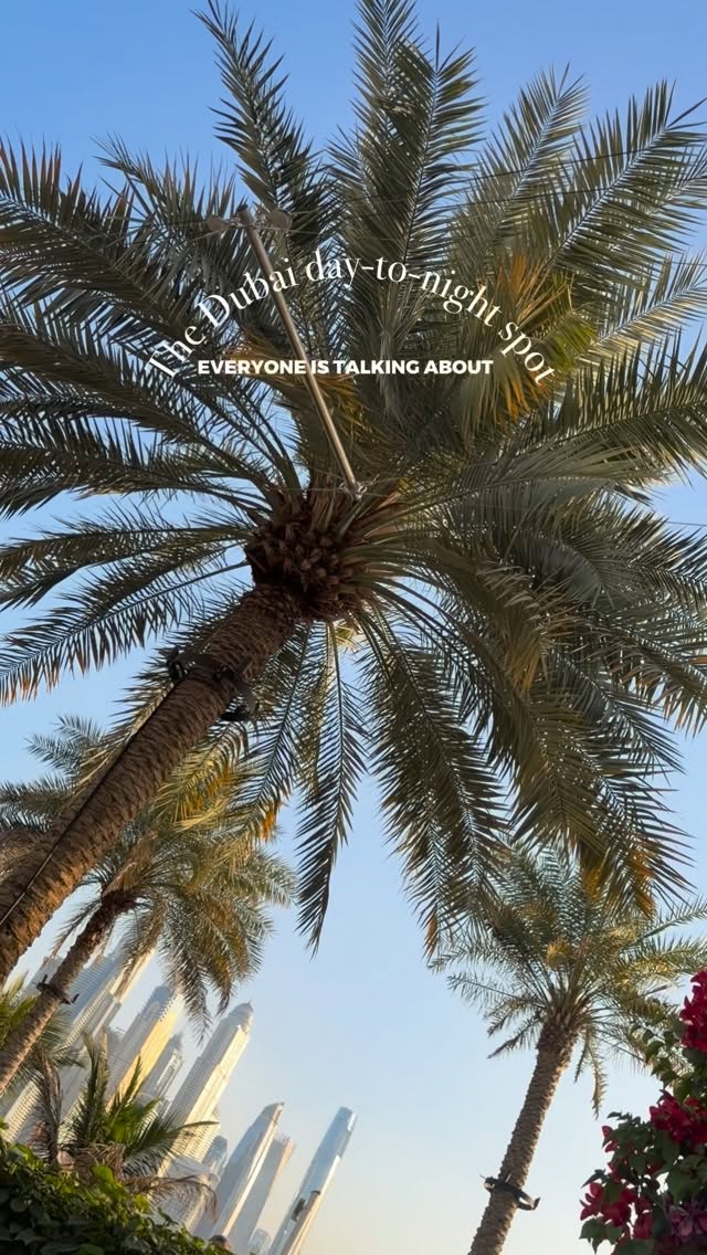 Video 2 from Praia at FIVE