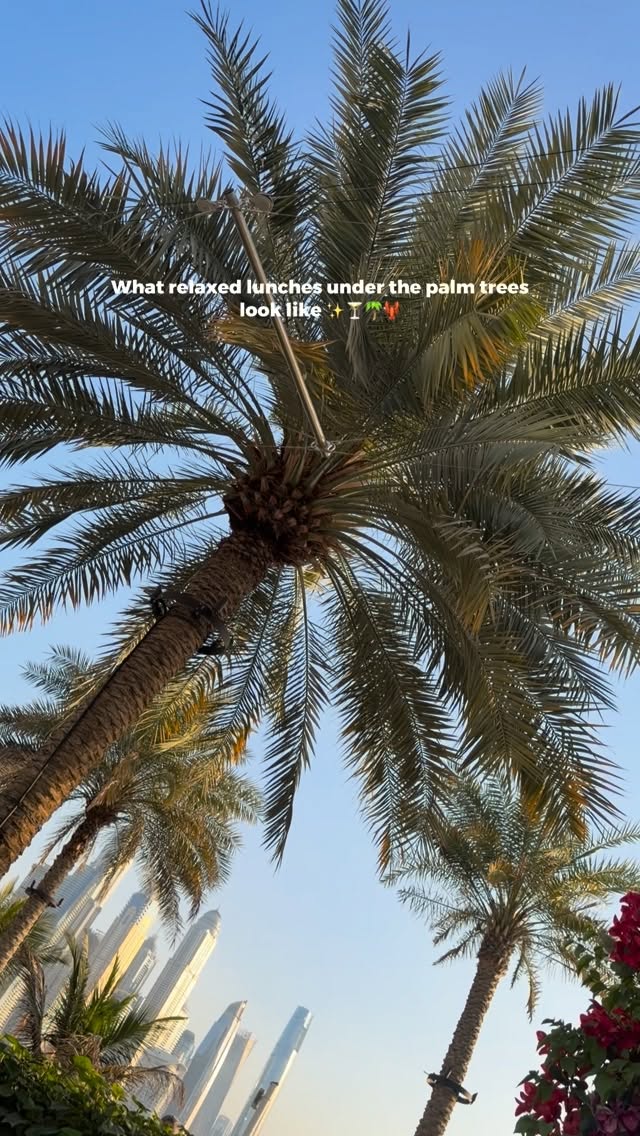 Video 5 from Praia at FIVE
