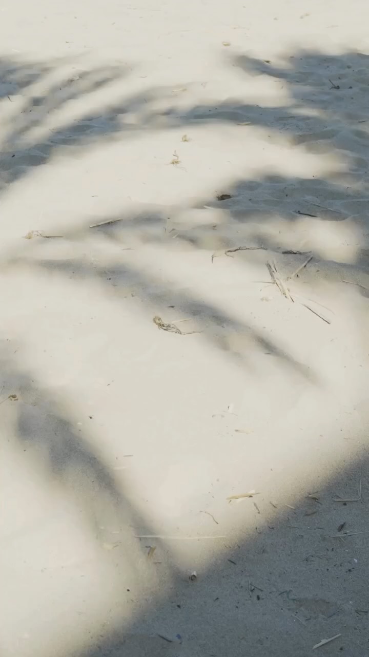 Video 2 from Purobeach