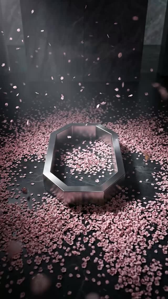 Video 7 from RAISE